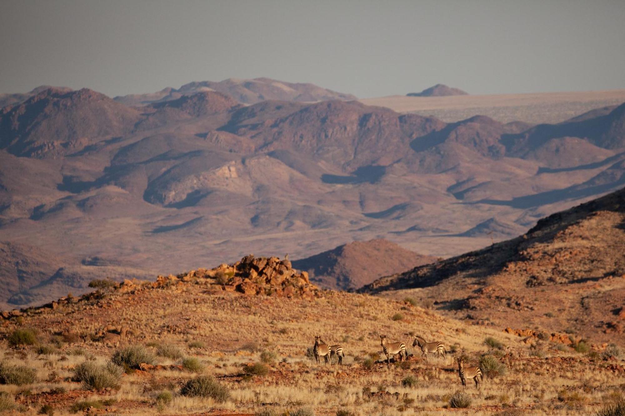Sandfontein Lodge & Nature Reserve المظهر الخارجي الصورة