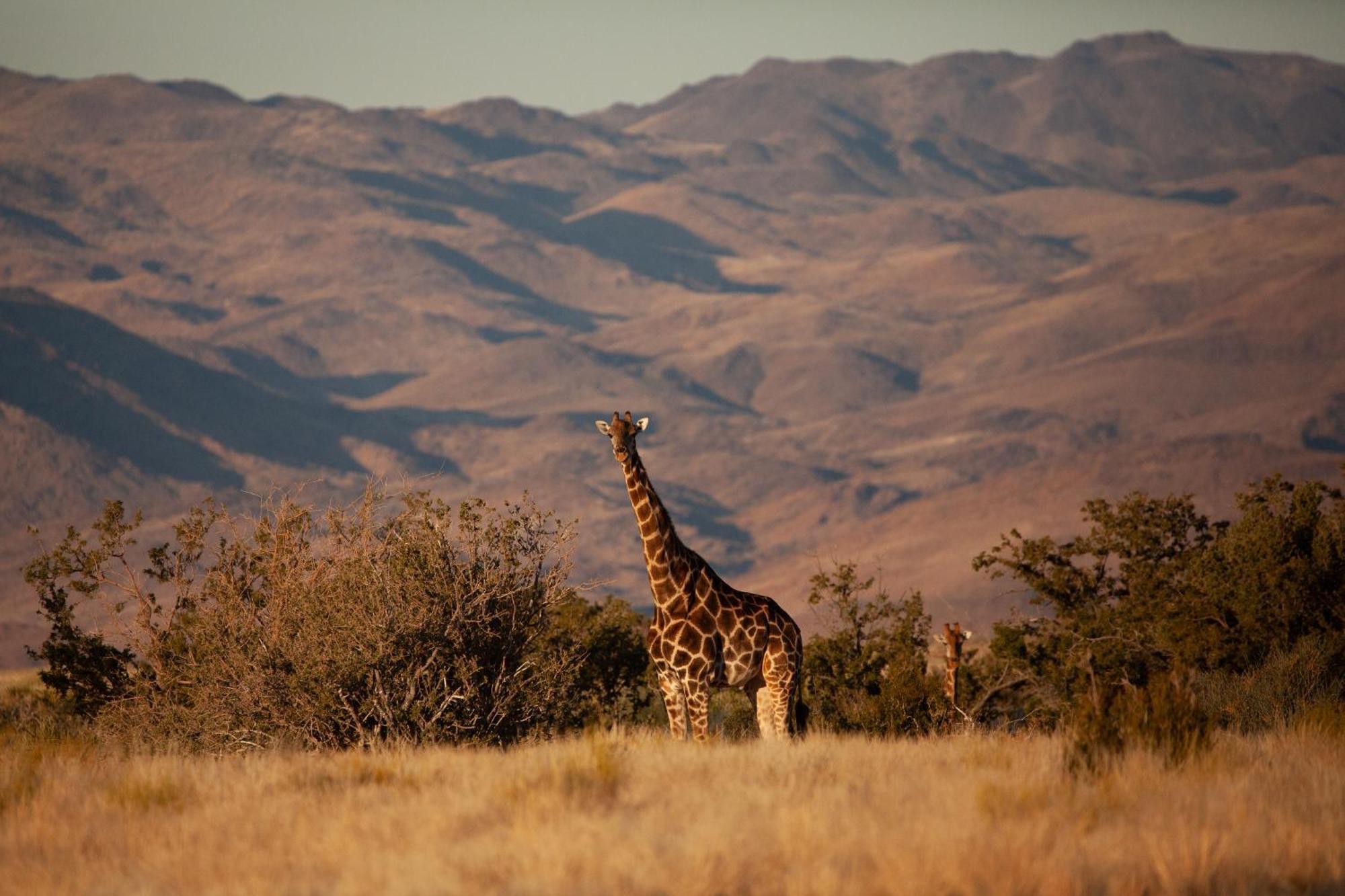 Sandfontein Lodge & Nature Reserve المظهر الخارجي الصورة