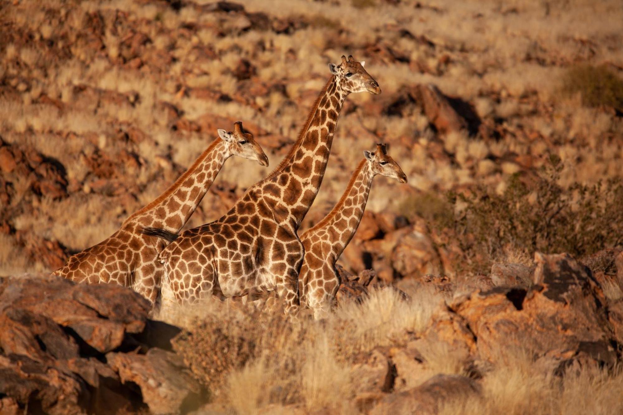 Sandfontein Lodge & Nature Reserve المظهر الخارجي الصورة