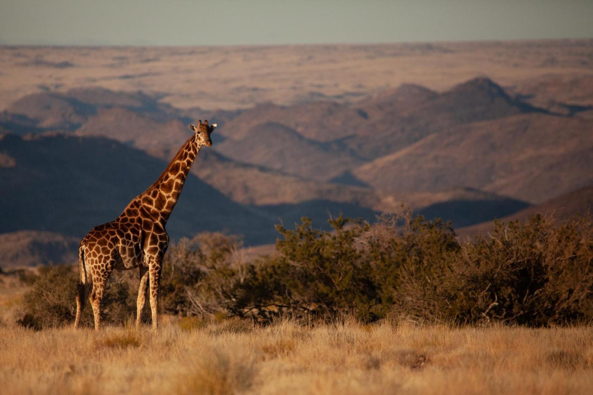Sandfontein Lodge & Nature Reserve المظهر الخارجي الصورة