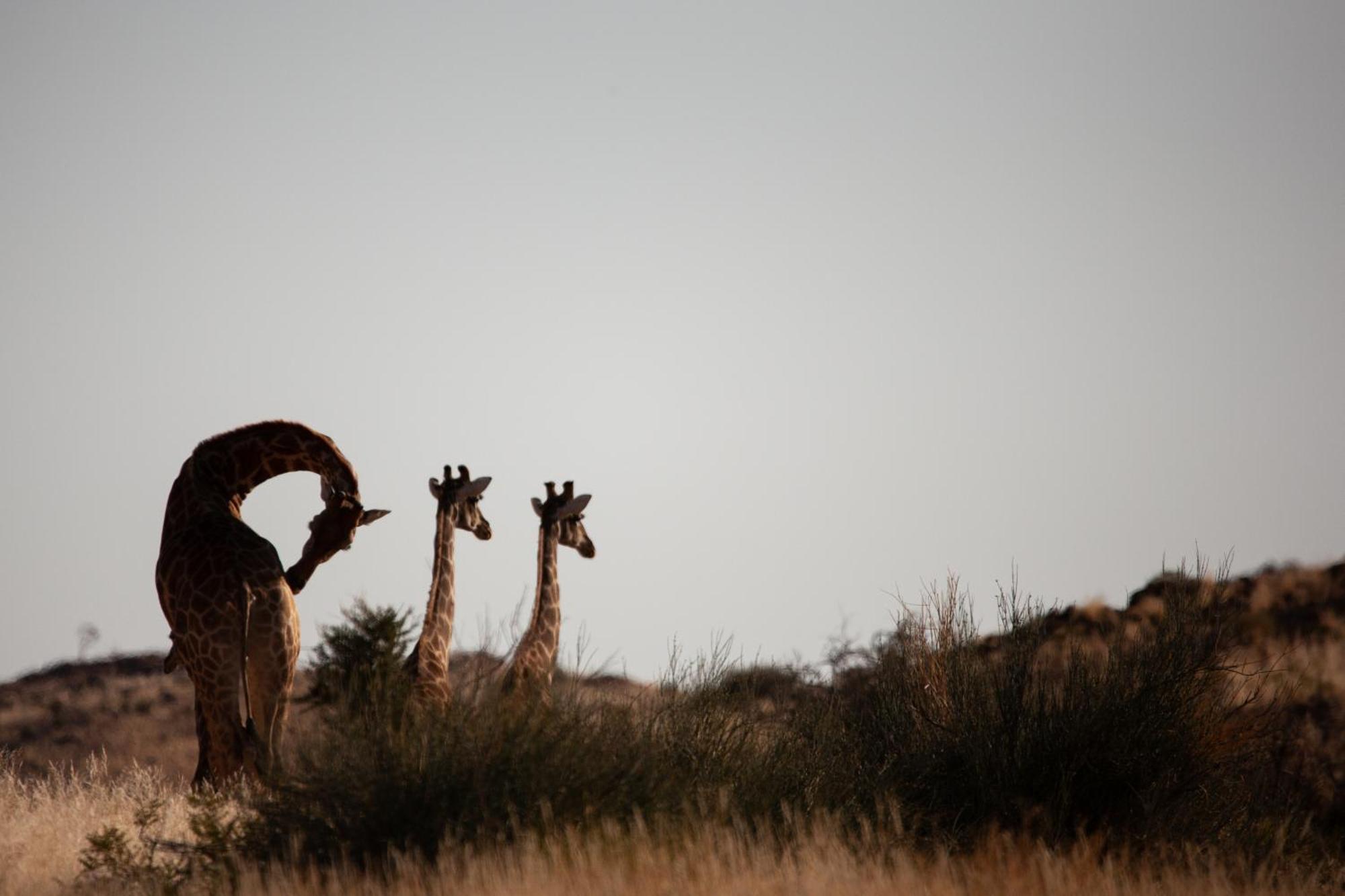 Sandfontein Lodge & Nature Reserve المظهر الخارجي الصورة