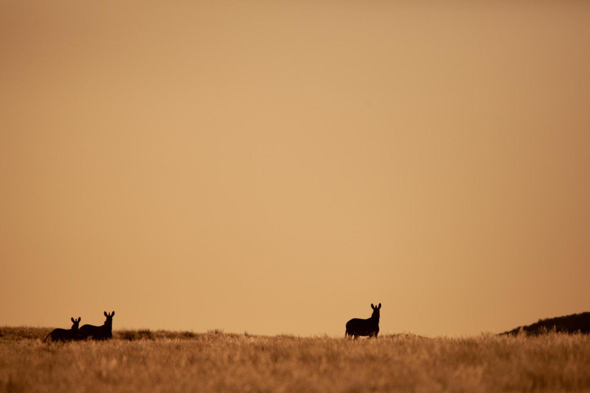 Sandfontein Lodge & Nature Reserve المظهر الخارجي الصورة