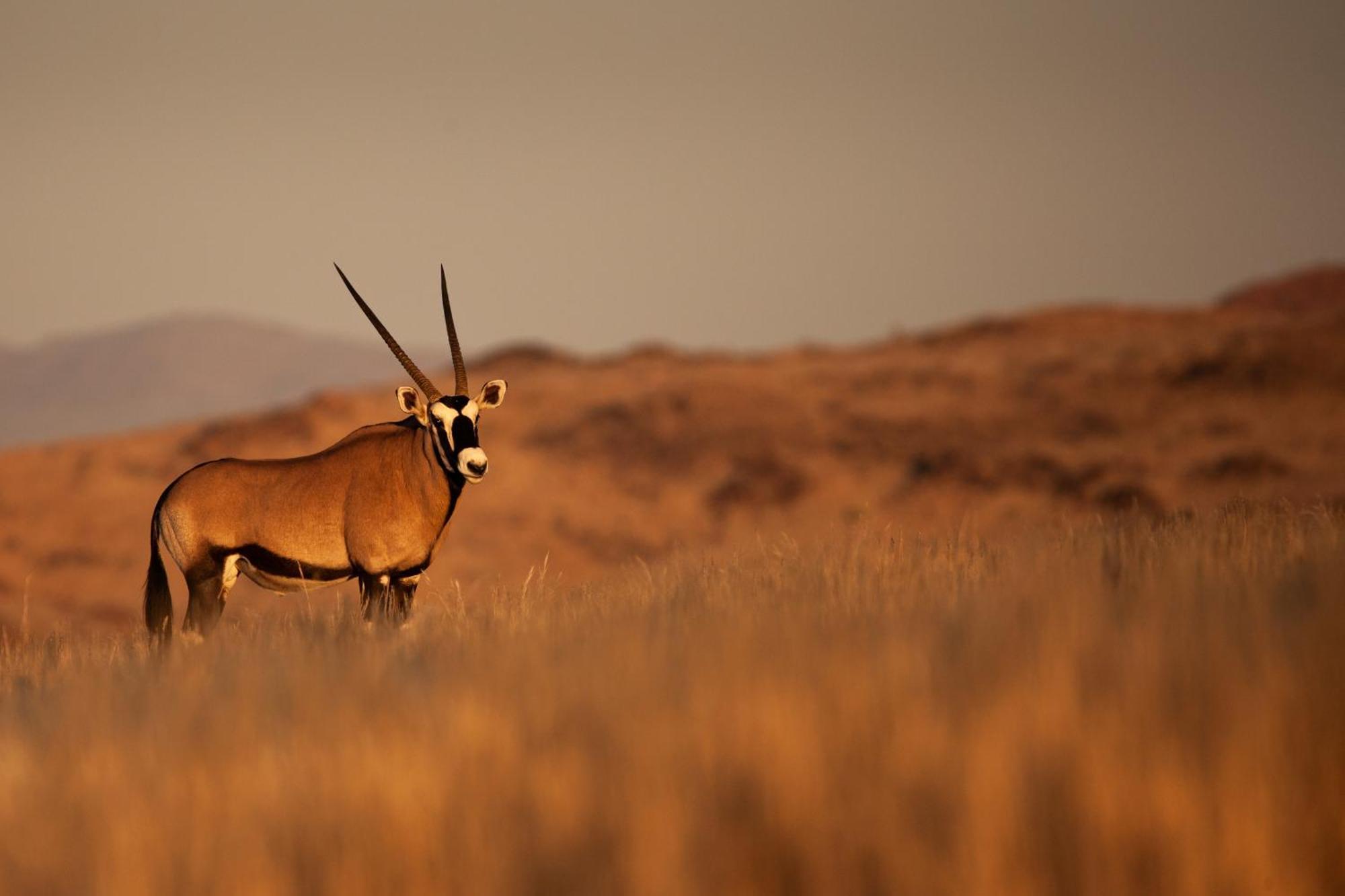 Sandfontein Lodge & Nature Reserve المظهر الخارجي الصورة